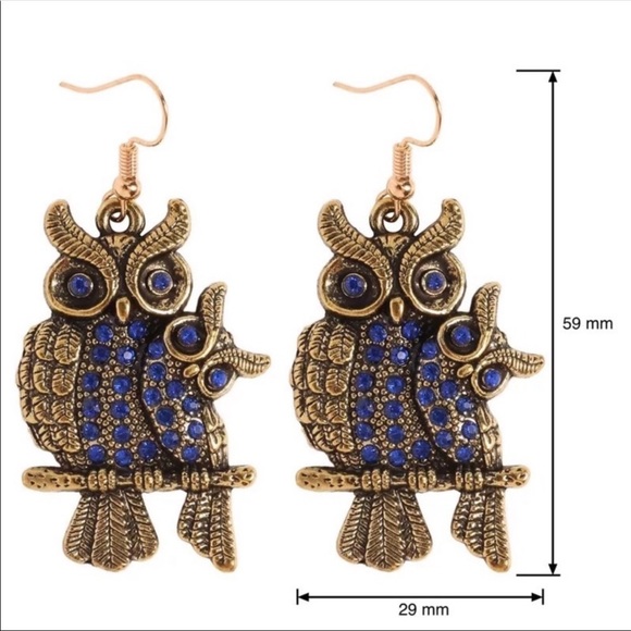Jewelry - A Pair Of Owl Earrings